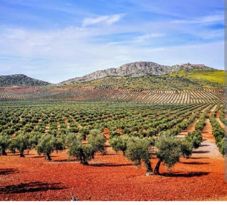 Casa De Tina Y Cora Βίλα Mora Εξωτερικό φωτογραφία
